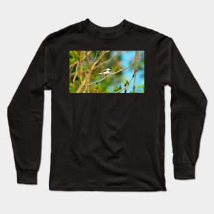 Black-capped Chickadee Perched On A Tree Branch Long Sleeve T-Shirt